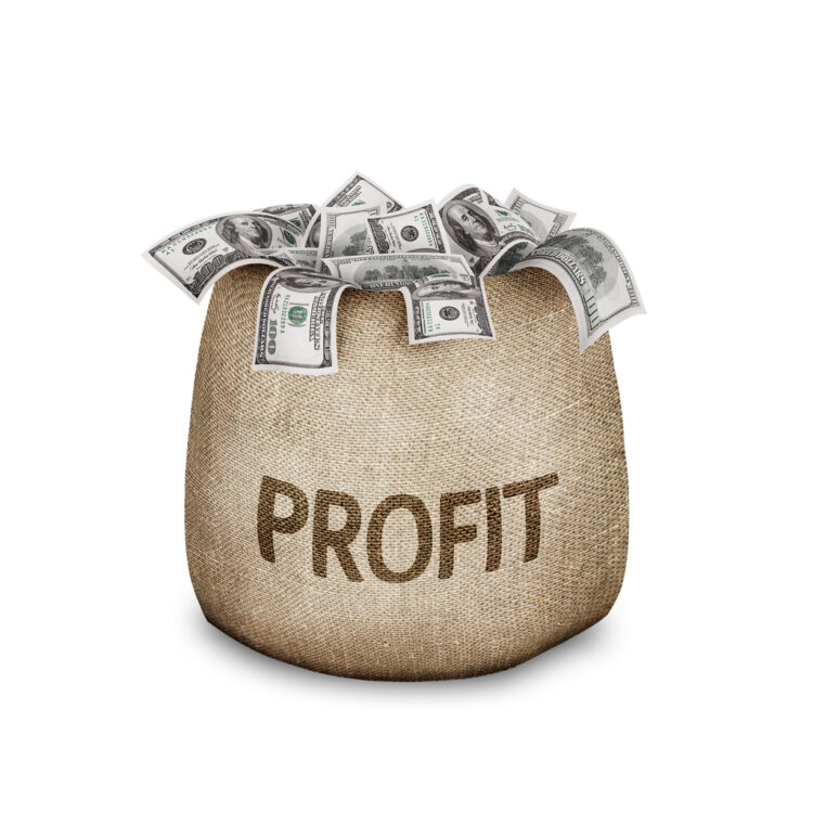 When Did Profit Become A Bad Word For Entrepreneurs?