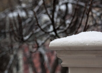 Some Tough Post-Election Tech Questions and My Attempt at Answers