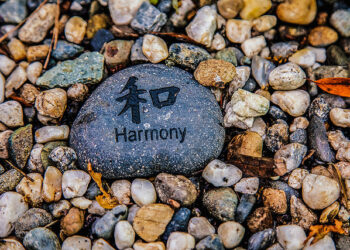 The Strongest Desire of Every CEO