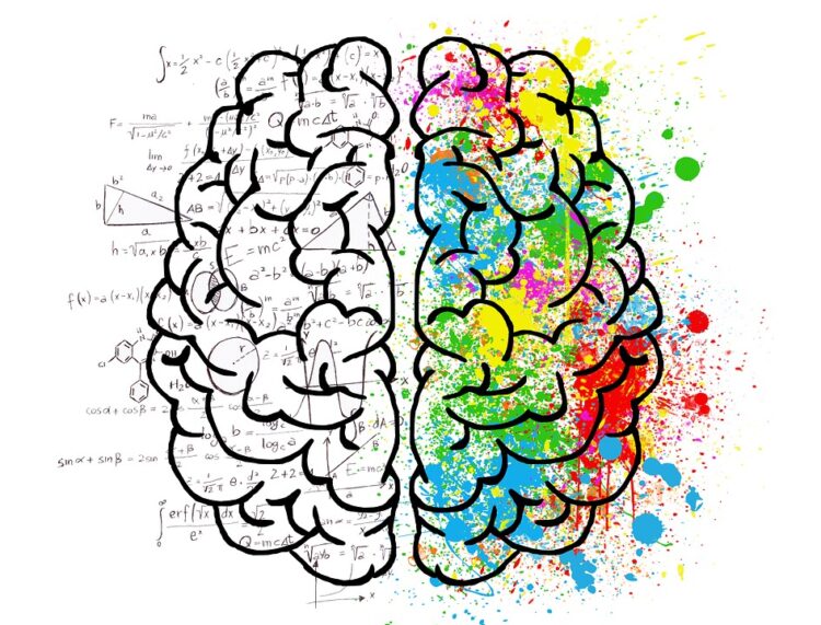 Left Brain or Right Brain: Which Builds Better Products?
