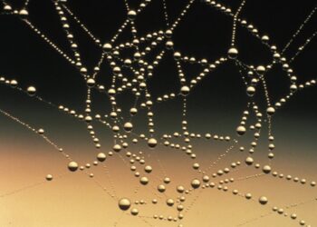 The Right Way to Ask for an Introduction