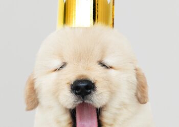 How to Supercharge Your Marketing with Humor