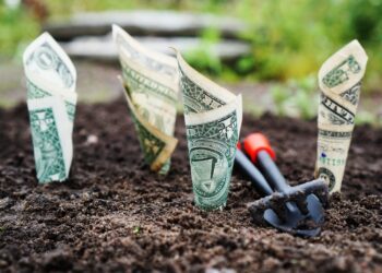 The Next Wave of Investor Wealth Creation in the Cannabis Industry