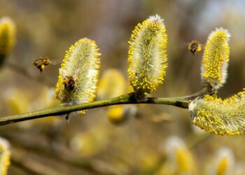 A Guide to Doing Your Due Diligence Before You Go All In