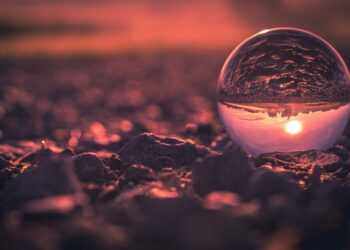 5 Key Attributes That Foretell Startup Survival