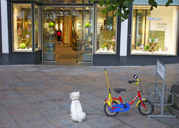 Why Staying Patient is so Important on Social Media