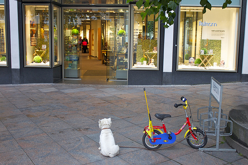 Why Staying Patient is so Important on Social Media