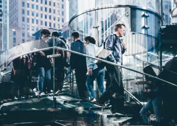 The Ideal Investor Group Post Seed Raise