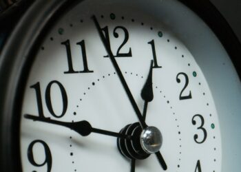 The Risk of Trading Vulnerability for Opportunity