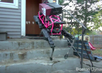 The Advantage of Four Legs