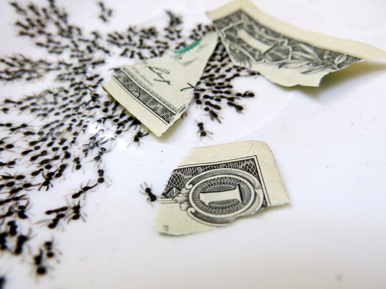 First Comes Smarts, Then Comes Hustle