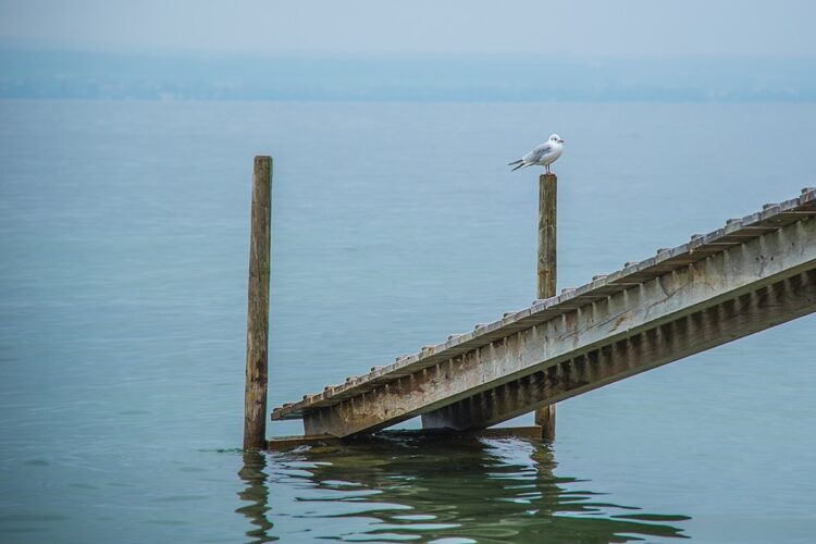 7 Questions To Focus Your Search For Venture Funding