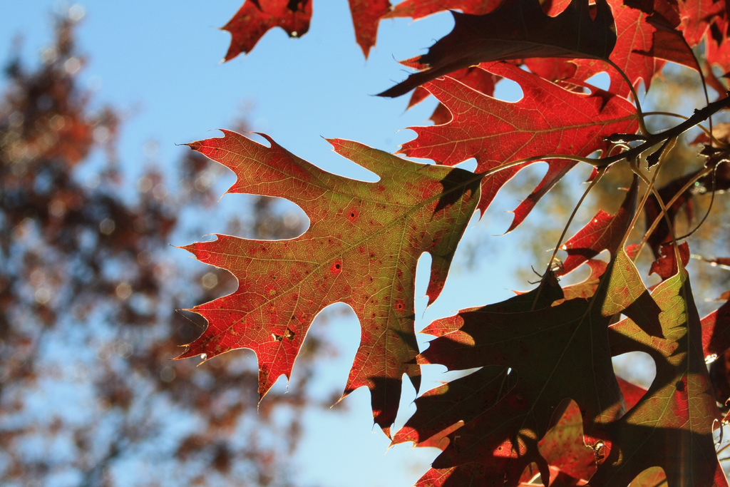 Extend Range of Change