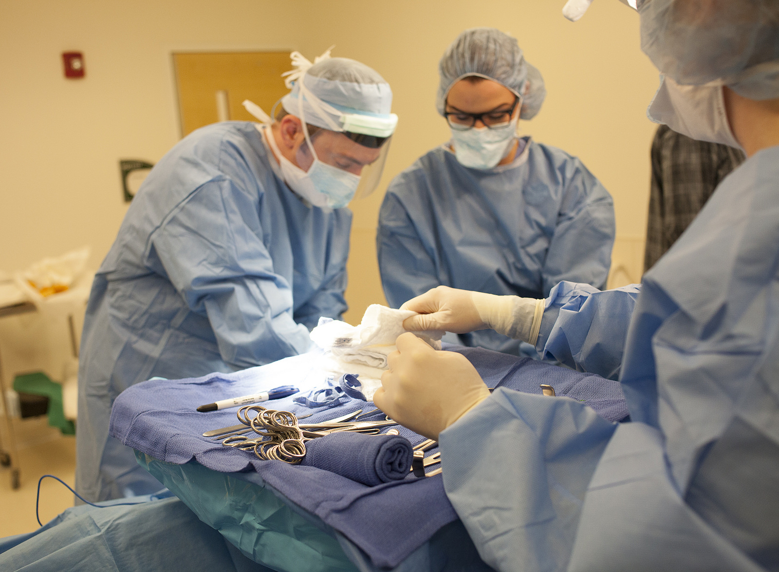 14067027595_610758cb54_h