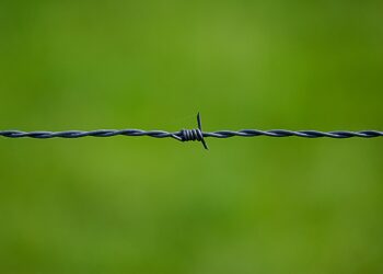 A Painful Problem for Aspiring Entrepreneurs