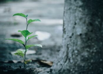 10 Personal Attributes That Indicate Real Potential