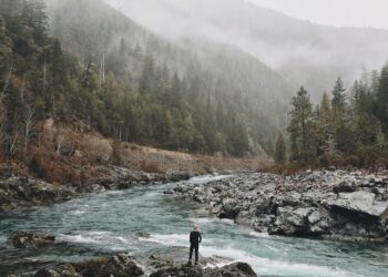 5 Indications That You Can Survive Startup Failures