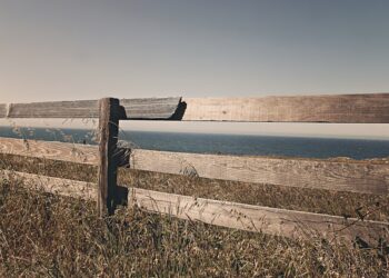 7 Pushbacks That New Founders Must Overcome