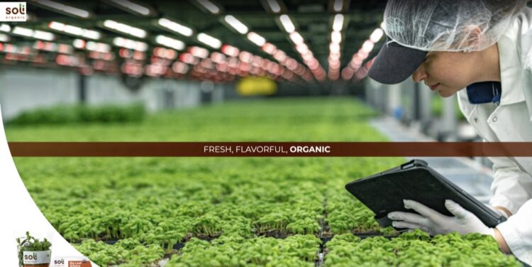 The 12 Largest Global Startup Funding Rounds of October 2022