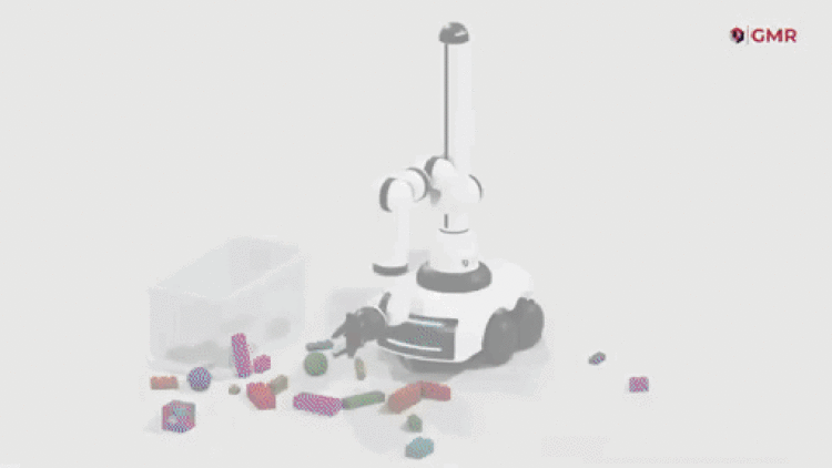 Are Robo-Butlers Really Handy?